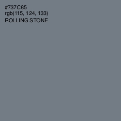 #737C85 - Rolling Stone Color Image